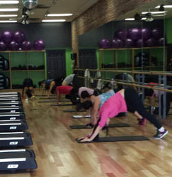 NutrishopMP - The Fit Factor Stuido Alhambra NutrishopMP - The Fit Factor Stuido Alhambra